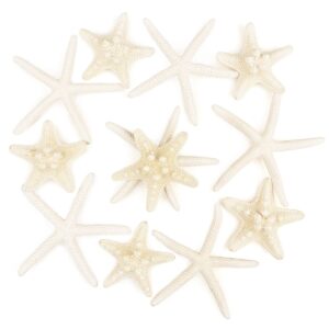 jangostor 12 pcs starfish 2-6 inch mixed starfish natural seashells starfish star fish shells decorations perfect for wedding decor beach theme party, home decorations, diy crafts, fish tank