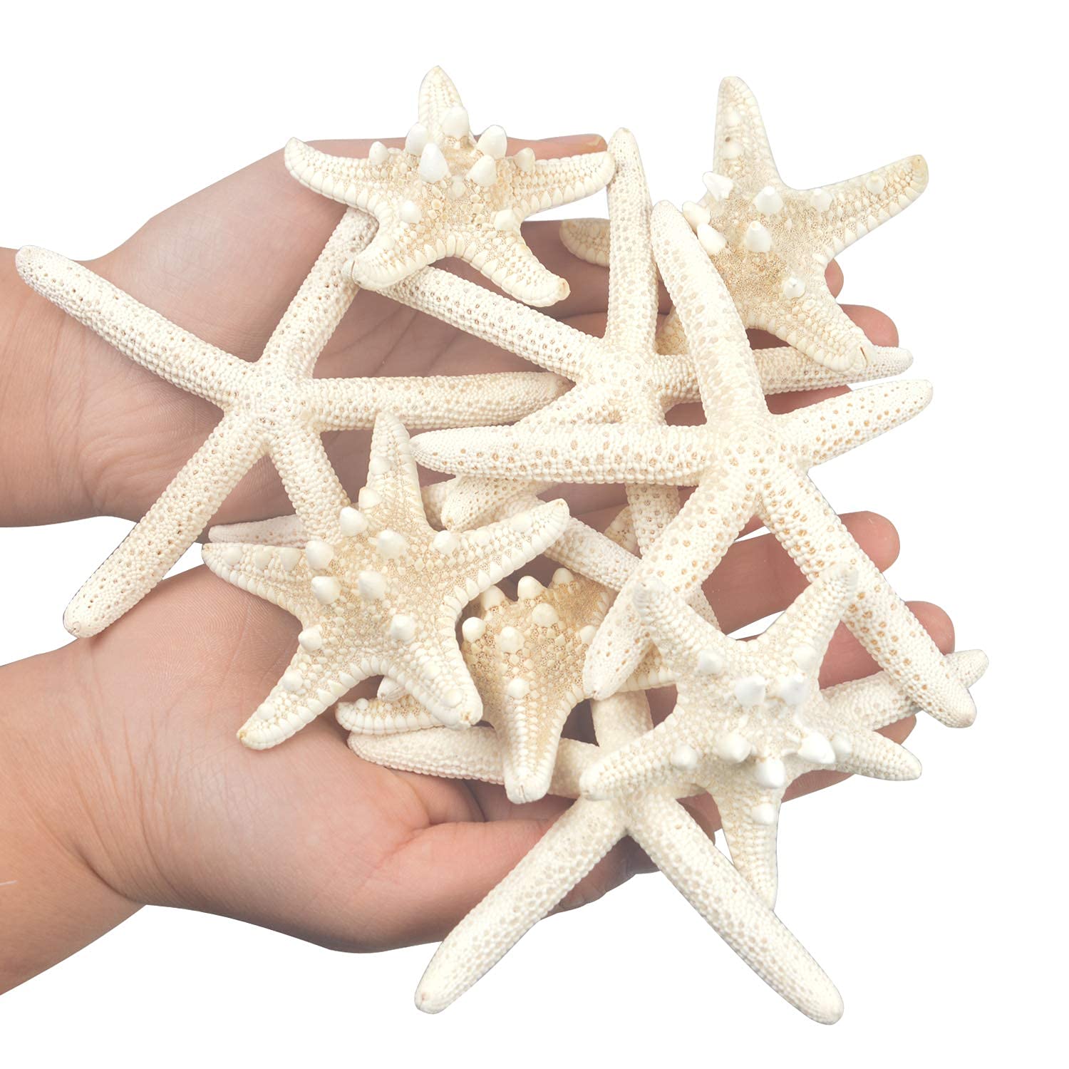 Jangostor 12 PCS Starfish 2-6 Inch Mixed Starfish Natural Seashells Starfish Star Fish Shells Decorations Perfect for Wedding Decor Beach Theme Party, Home Decorations, DIY Crafts, Fish Tank