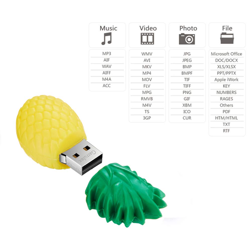 GARRULAX USB Flash Drive, 8GB / 16GB / 32GB Novelty Cute Cartoon USB Memory Stick Date Storage Pendrive Thumb Drives for Kids Children Collegue Student (32GB, Pineapple)