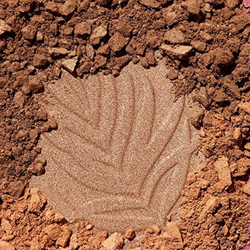 wet n wild Color Icon Bronzer What Shady Beaches