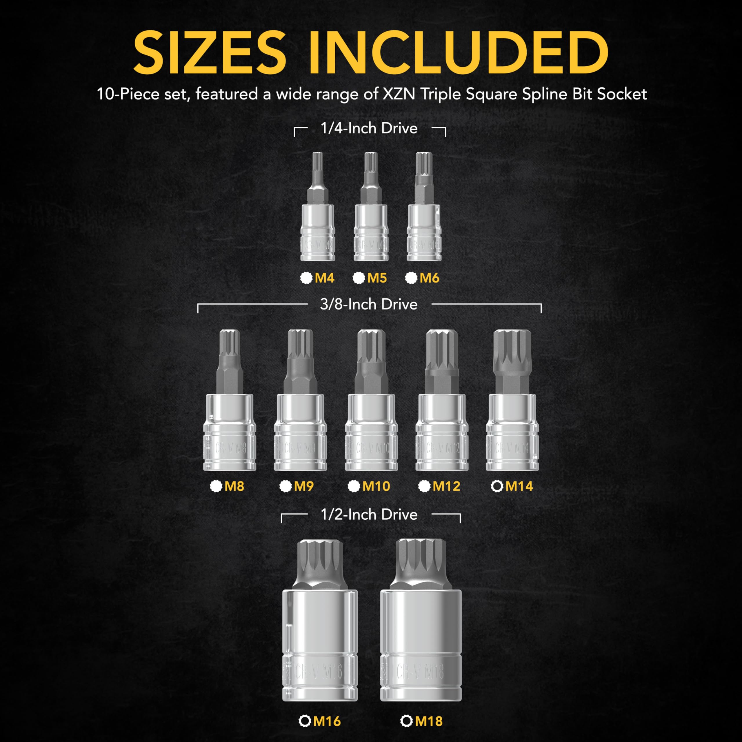 LEXIVON XZN Triple Square Spline Bit Socket Set, Premium S2 Alloy Steel | 10-Piece European Style M4 - M18 Set | Enhanced Storage Case (LX-145)