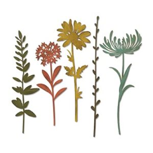 Sizzix Thinlits Die Set , Wildflower Stems #1 by Tim Holtz, 5 Pack, One Size, Multicolor 5 Piece