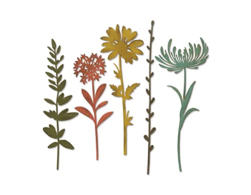 Sizzix Thinlits Die Set , Wildflower Stems #1 by Tim Holtz, 5 Pack, One Size, Multicolor 5 Piece