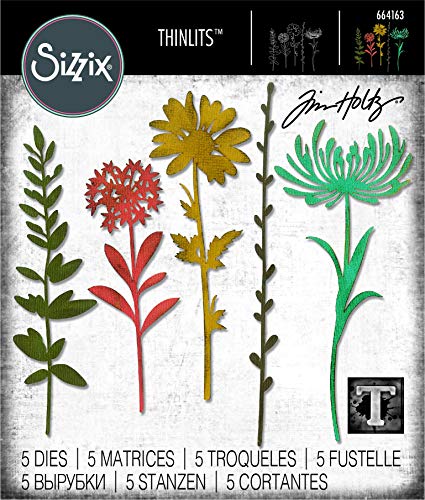 Sizzix Thinlits Die Set , Wildflower Stems #1 by Tim Holtz, 5 Pack, One Size, Multicolor 5 Piece