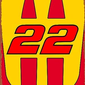 Logano 22 NumPlate Poster Metal Sign Tin Metal Retro Wall Decor for Home,Street,Gate,Bars,Club