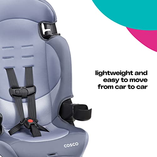 Cosco Finale DX 2-in-1 Booster Car Seat, Extended Use: Forward-Facing, Belt-Positioning Booster in Organic Waves