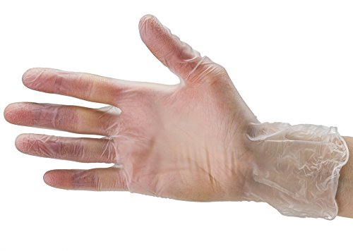 Disposable Plastic Vinyl Clear Gloves (Small, 100, Count)