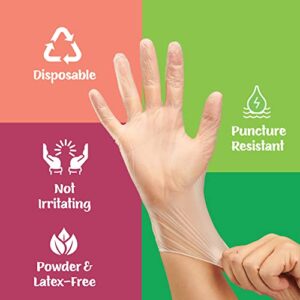 Disposable Plastic Vinyl Clear Gloves (Small, 100, Count)