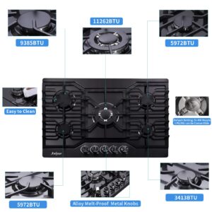 Anlyter 30 Inch Gas Cooktop, 5 Burners Built-in Stove Top Stainless Steel (Thermocouple Protection), LPG/NG Convertible Stove Dual Fuel Sealed Gas Hob - Black