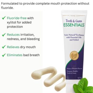 Dental Herb Company - Essentials Toothpaste - Truly Natural Fluoride-Free and SLS-Free - Superior Defense Against Bleeding and Irritated Gums, Dry Mouth, and Mouth sores. (4 oz.)