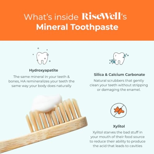 RiseWell Mineral Toothpaste - Natural Hydroxyapatite Toothpaste - Fluoride-Free, SLS-Free, Natural Remineralizing Toothpaste Without SLS - Made by Dentists Toothpaste, Wild Mint 4 Oz