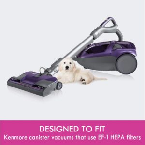 Kenmore 53295 EF-1 HEPA Media Vacuum Cleaner Exhaust Air Filter for Upright and Canister Vacuums,White