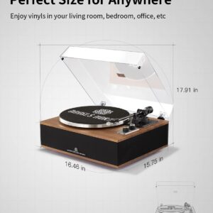 ANGELS HORN Vinyl Record Player, Bluetooth Turntable with Built in Speakers Phono Preamp, High Fidelity Turntables for Vinyl Records with Magnetic Cartridge AT-3600L, Belt Drive 2-Speed