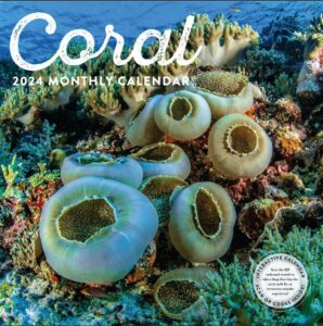 coral | 2024 wall calendar | 12x24 inch | marble city press