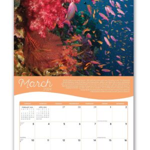 Coral | 2024 Wall Calendar | 12x24 Inch | Marble City Press