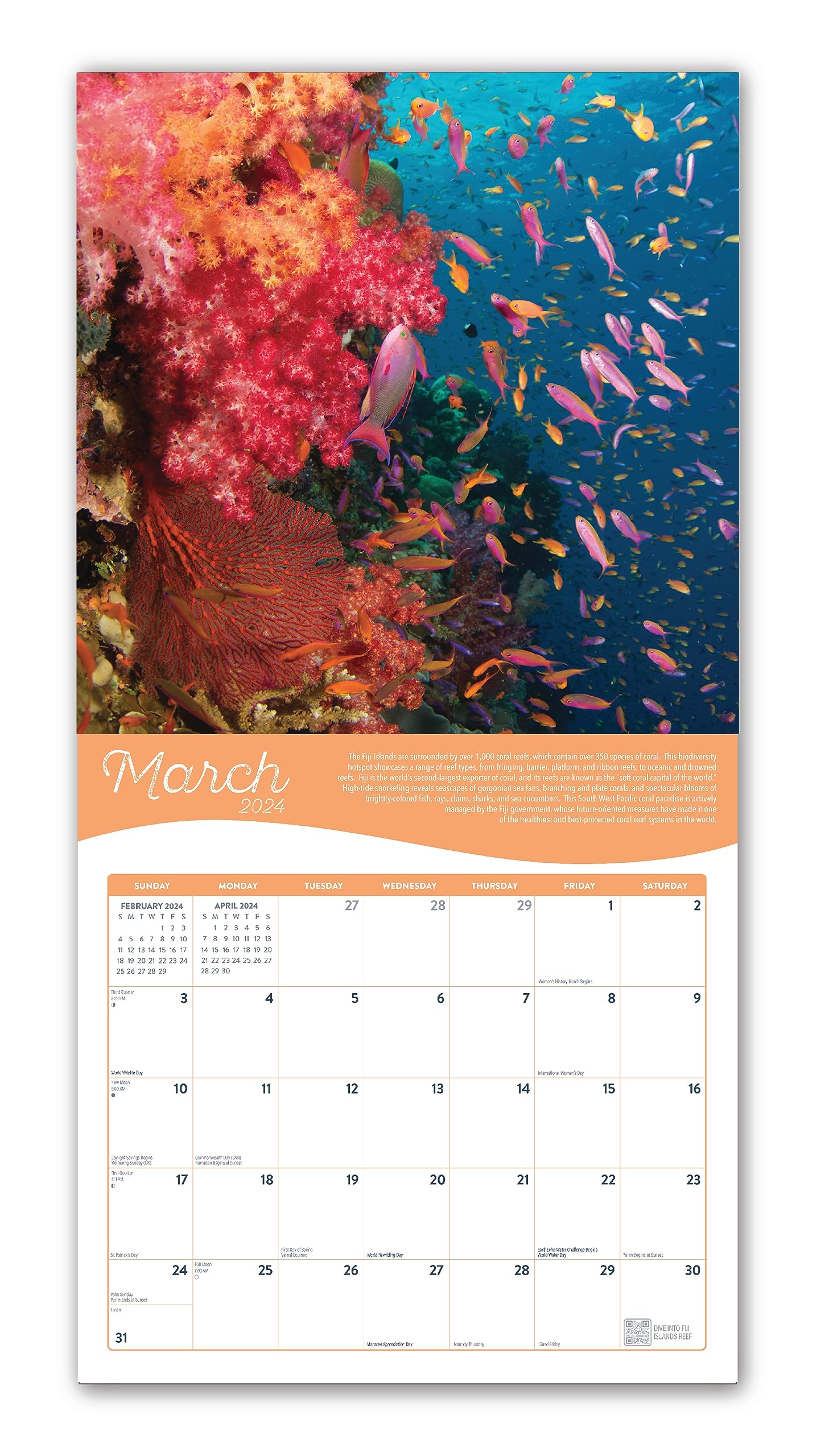 Coral | 2024 Wall Calendar | 12x24 Inch | Marble City Press