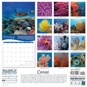 Coral | 2024 Wall Calendar | 12x24 Inch | Marble City Press