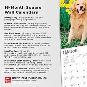 Golden Retrievers | 2024 12 x 24 Inch Monthly Square Wall Calendar | Foil Stamped Cover | BrownTrout | Animals Dog Breeds Retriever