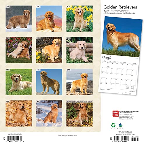 Golden Retrievers | 2024 12 x 24 Inch Monthly Square Wall Calendar | Foil Stamped Cover | BrownTrout | Animals Dog Breeds Retriever