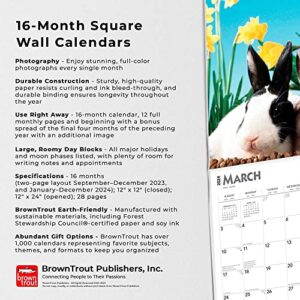 Honey Bunny | 2024 12 x 24 Inch Monthly Square Wall Calendar | BrownTrout | Domestic Small Cute Animals