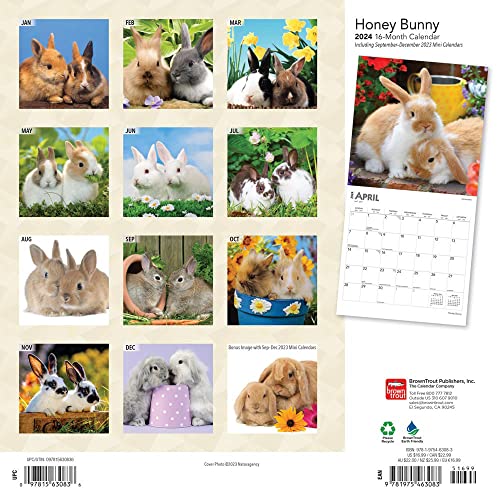 Honey Bunny | 2024 12 x 24 Inch Monthly Square Wall Calendar | BrownTrout | Domestic Small Cute Animals