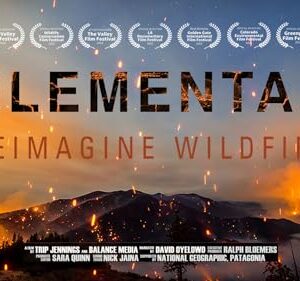 Elemental: Reimagine Wildfire