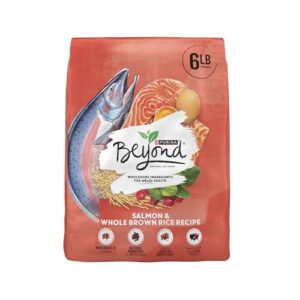 purina beyond natural wholesome ingredients for whole health dry cat food salmon and whole brown rice recipe - 6 lb. bag