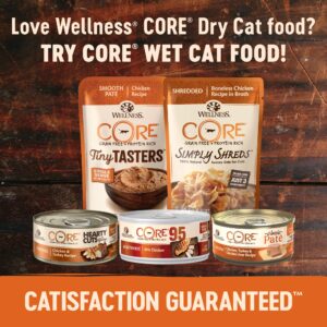 Wellness CORE High Protein Grain-Free Adult Dry Cat Food, Original Formula Turkey, Turkey Meal & Chicken Recipe, 11 Pound Bag