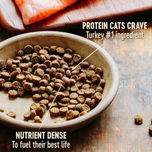Wellness CORE High Protein Grain-Free Adult Dry Cat Food, Original Formula Turkey, Turkey Meal & Chicken Recipe, 11 Pound Bag