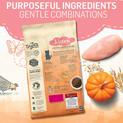 Beyond Purina High Protein, Natural Kitten Food, Kitten Chicken & Oatmeal Recipe - 3 lb. Bag