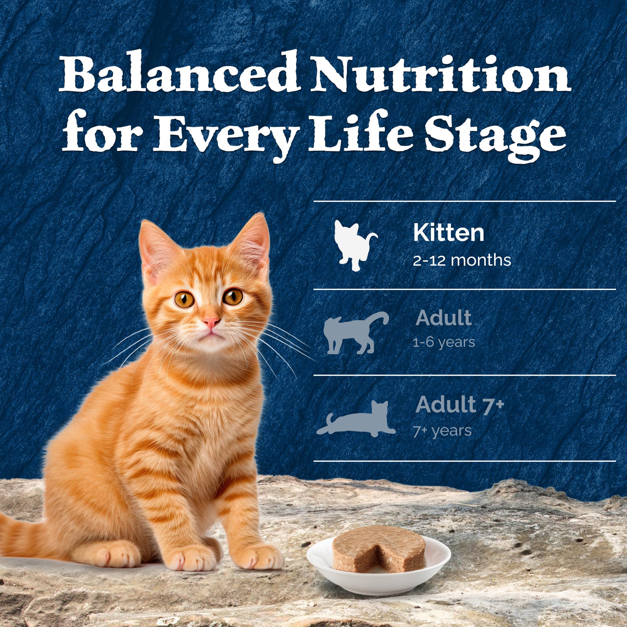 Blue Buffalo Wilderness High-Protein Grain-Free Wet Kitten Food, Chicken Paté Recipe, 3-oz. Cans, 6-Count