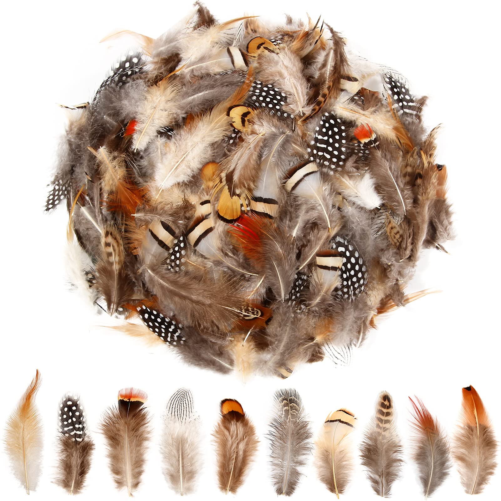 SendyFeather 200pcs 10 Style Natural Feathers Assorted Mixed Feathers for Dream Catcher Crafts DIY Decoration