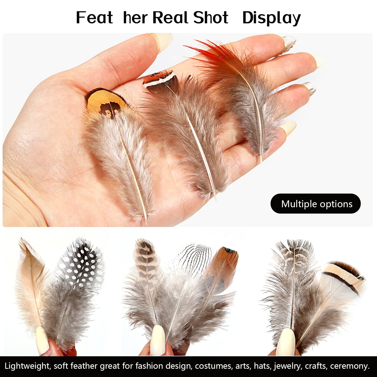 SendyFeather 200pcs 10 Style Natural Feathers Assorted Mixed Feathers for Dream Catcher Crafts DIY Decoration