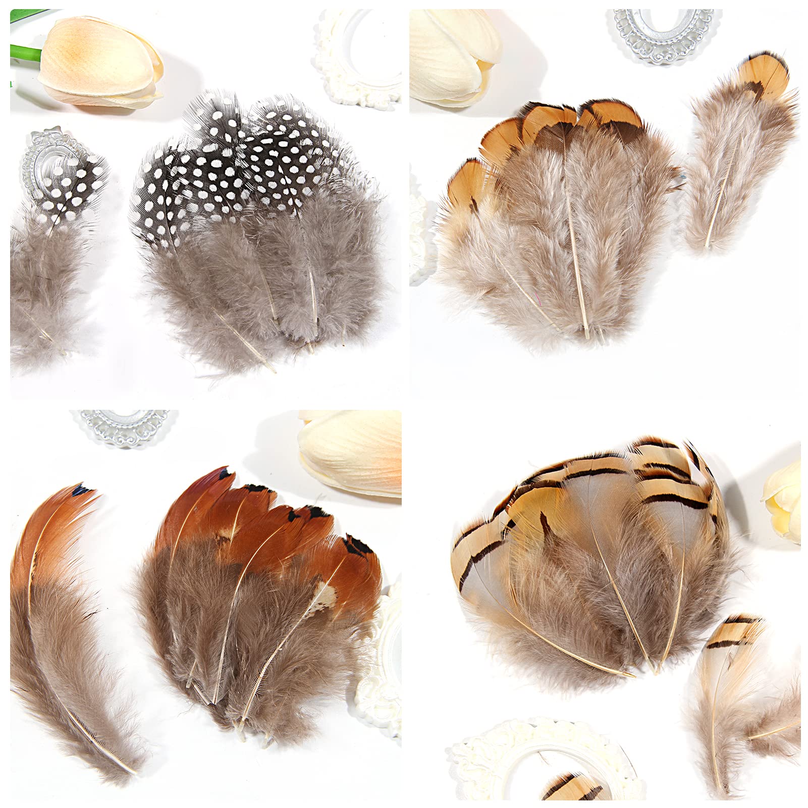 SendyFeather 200pcs 10 Style Natural Feathers Assorted Mixed Feathers for Dream Catcher Crafts DIY Decoration