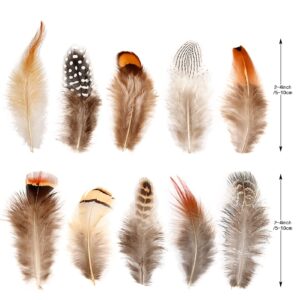 SendyFeather 200pcs 10 Style Natural Feathers Assorted Mixed Feathers for Dream Catcher Crafts DIY Decoration