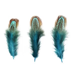 100 pcs Natural Pheasant Plumage Feathers 2-3 Inches Plumage Feathers for Sewing Crafts Clothing Decorating Accessories -Blue
