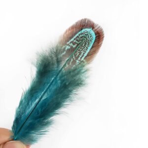 100 pcs Natural Pheasant Plumage Feathers 2-3 Inches Plumage Feathers for Sewing Crafts Clothing Decorating Accessories -Blue