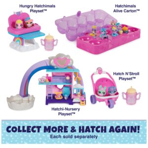 Hatchimals Alive, Egg Carton Toy with 5 Mini Figures in Self-Hatching Eggs, 11 Accessories, Kids Toys for Girls and Boys Ages 3 and up