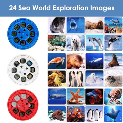 Pup Go Sea Life Animals Torch Projector with 3 Discs 24 Images, Shark Toy for Boys, Sea Creatures Toys for Children Age 3 4 5 6 7 Year Old, Shark Gifts Games for Kids(Seaworld)