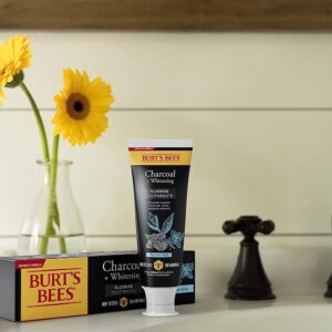 Burt's Bees Toothpaste, Natural Flavor, Charcoal with Fluoride Toothpaste, Mountain Mint, 3 x 4.7oz