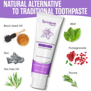 SprinJene Patented Toothpaste Sensitive Teeth & Gum w/Fluoride Cavity Protection Non Toxic SLS Free Fresh Breath Dry Mouth,Preservative Free, 2 Pack
