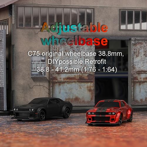 FLYCOLOR TurboRC 1:76 Mini Sports Car 4CH 2.4GHZ Remote Control Full Proportional RTR Kit with 2 Replaceable Body Shell (C75-Black)