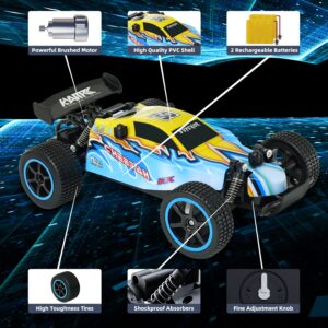 RC Car Remote Control Toys - 1:20 Scale All Terrain Hobby RC Racing Car, 2.4Ghz High Speed 2WD RC Buggy Cars with 2 Rechargeable Batteries, Off Road Electric Cars for Kids Boys Girls Adult Xmas Gifts