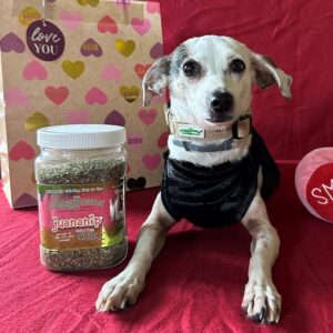 Doggijuana | Juananip™ Refill | Premium Organic Ground Catnip for Dogs | All Natural | Grown in The USA (Juananip Jar)