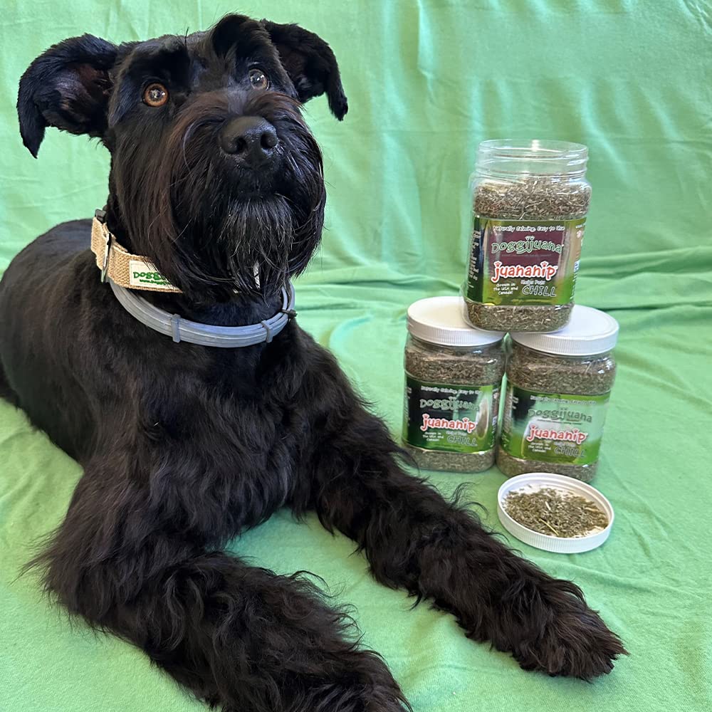 Doggijuana | Juananip™ Refill | Premium Organic Ground Catnip for Dogs | All Natural | Grown in The USA (Juananip Jar)