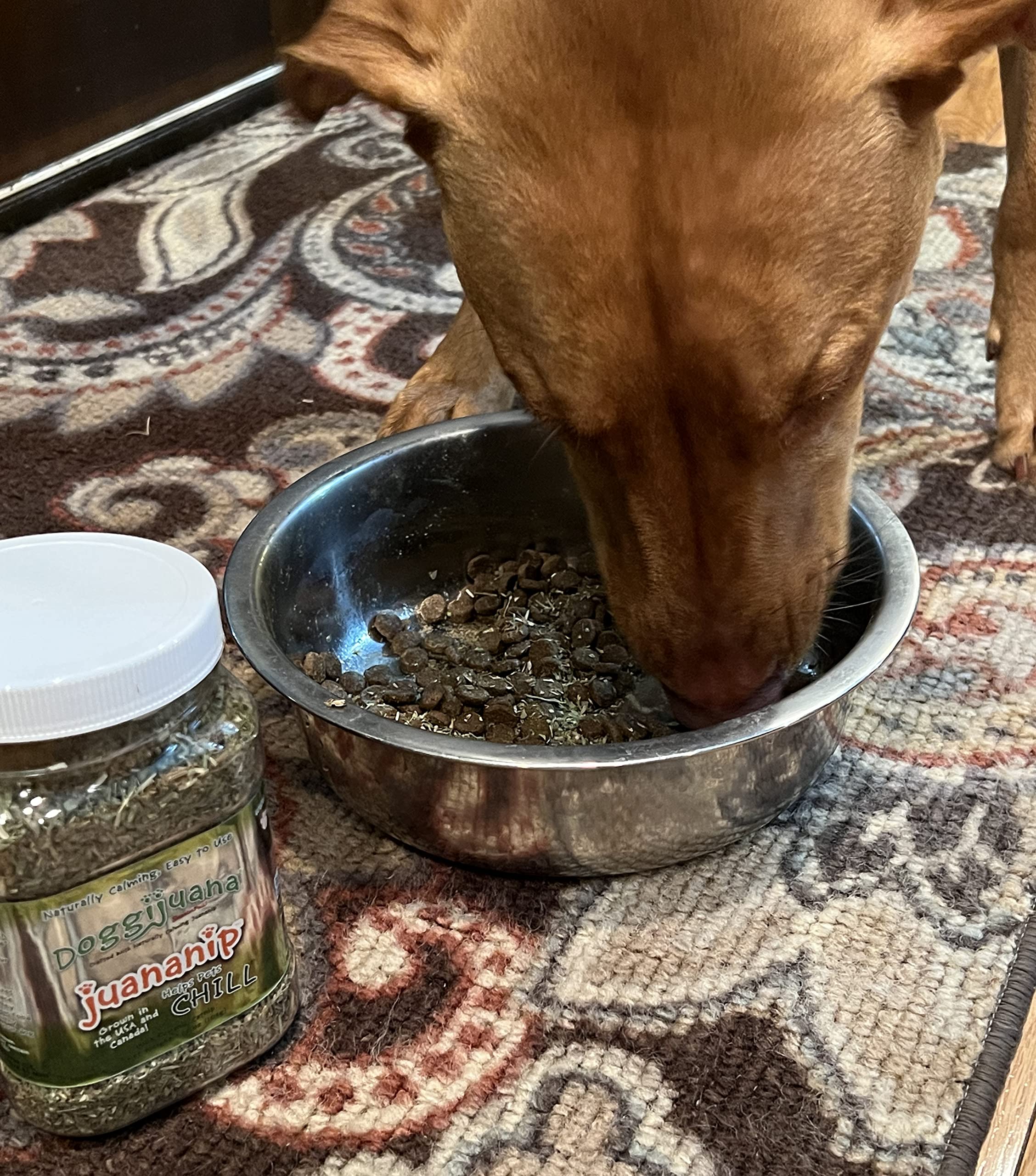 Doggijuana | Juananip™ Refill | Premium Organic Ground Catnip for Dogs | All Natural | Grown in The USA (Juananip Jar)