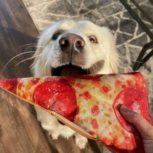 Doggijuana | Refillable Catnip Dog Toy | Naturally Calming | Catnip Grown in The USA (Pizza)