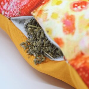 Doggijuana | Refillable Catnip Dog Toy | Naturally Calming | Catnip Grown in The USA (Pizza)