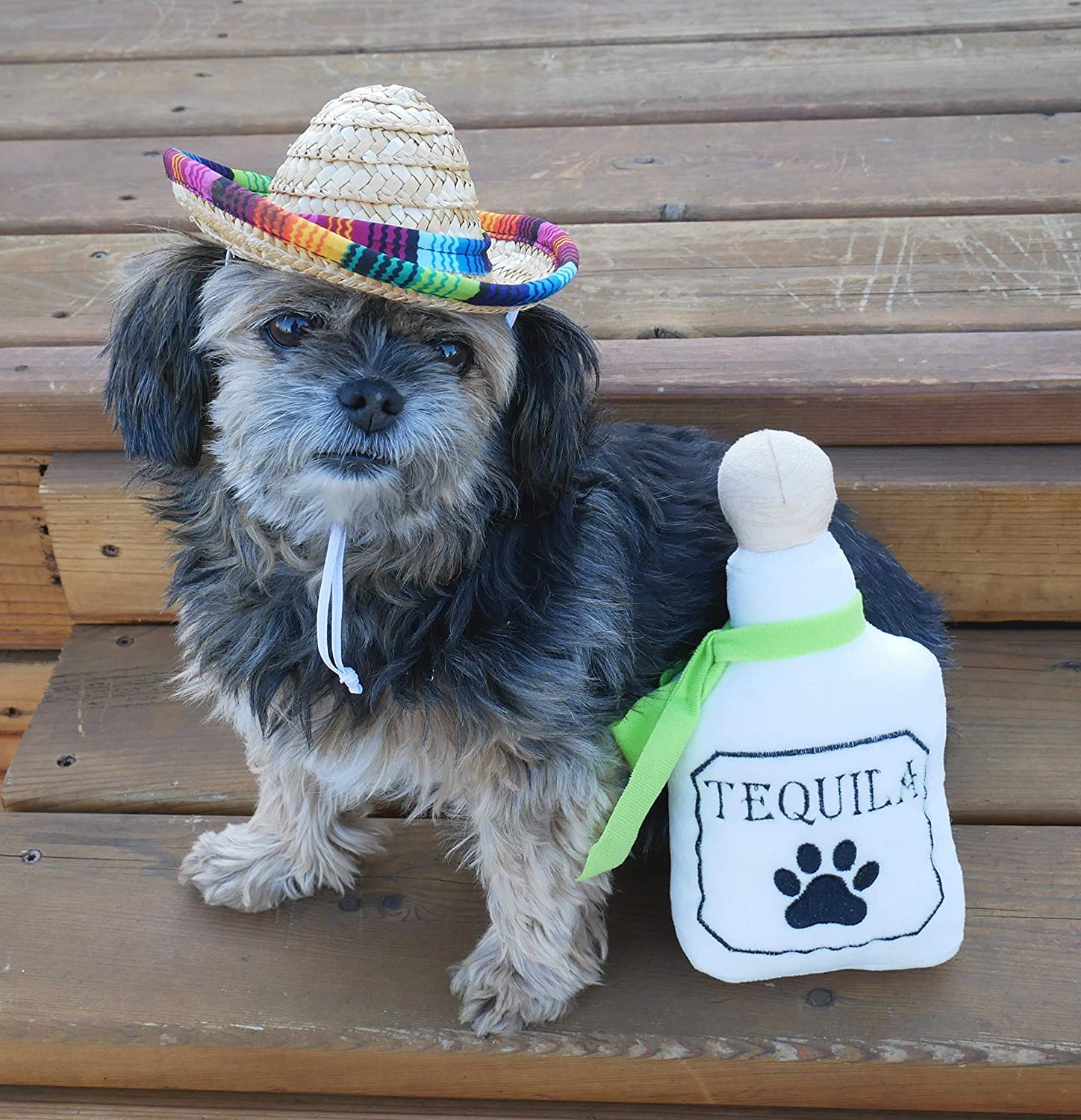 Baja Ponchos 4 Pack Fiesta Dog Chew Toys and Sombrero - Mexican Squeak Plush Toys - Dog Gifts for Chihuahuas - Taco - Tequila - Hot Sauce - for All Breeds