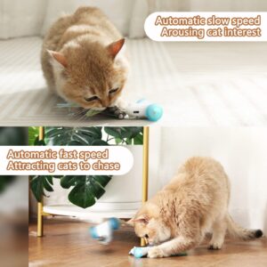 CZPET Cat Toys Kitten Jump Exercise Interactive Replaceable Elastic Automatic Toy Funny Cat Teaser Various Developmental Puzzle Toys Feather Mouse